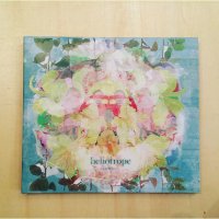 heliotrope / 大丈夫、君なら。(CD)