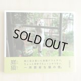 庭猫