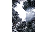 世界 / 岡田敦