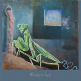 the hatch / Opaque Age (CD)