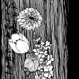 tentative four / S/T (カセット)
