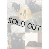 季刊黒猫2021 冬