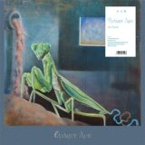 the hatch / OpaqueAge (LP)