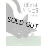 ぼくはいしころ / 坂本千明