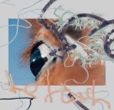 the hatch / shape of raw to come (CD)