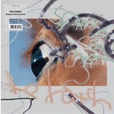 the hatch / shape of raw to come (LP)