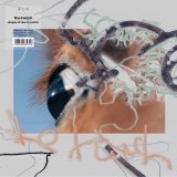 the hatch / shape of raw to come (LP)