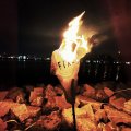 FIXED / NUM (CD)