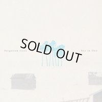 Hex in Flux / forgotten trees (CD)