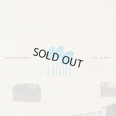 画像1: Hex in Flux / forgotten trees (CD)