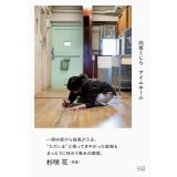 アイムホーム / 向坂くじら