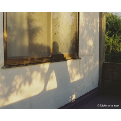 画像9: Papa, You’re Crazy〈クジラと天体、父の島〉/ 西山勲