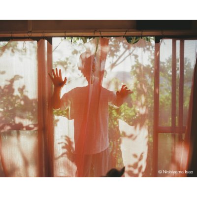 画像6: Papa, You’re Crazy〈クジラと天体、父の島〉/ 西山勲