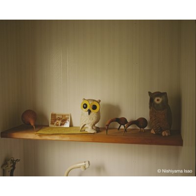 画像4: Papa, You’re Crazy〈クジラと天体、父の島〉/ 西山勲