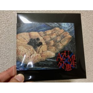 画像: AZUMI×久下惠生 / 義兄弟エレキ説法 雨の鴬谷 (CD)