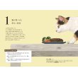 画像2: 猫が食べると危ない食品・植物・家の中の物図鑑 ~誤食と中毒からあなたの猫を守るために (2)