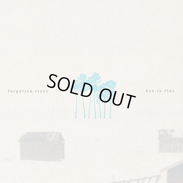 画像1: Hex in Flux / forgotten trees (CD) (1)