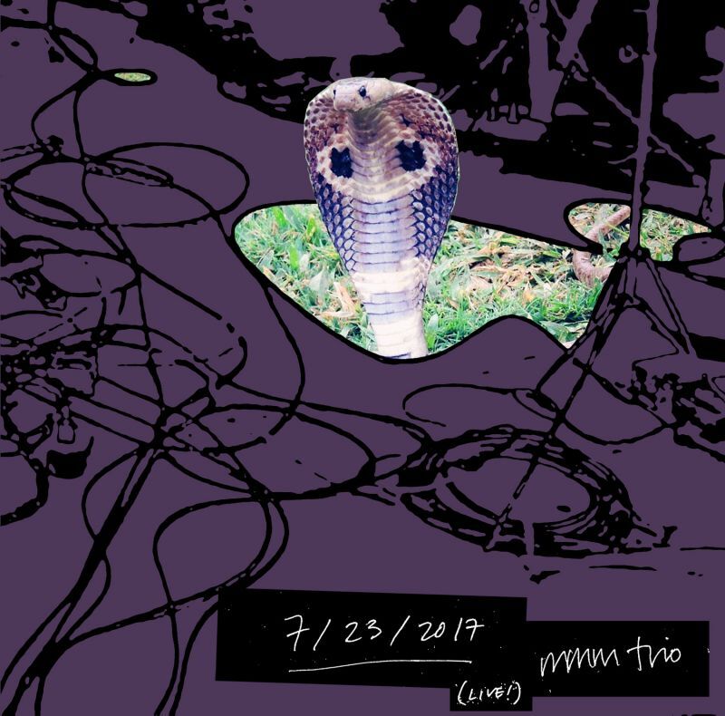 画像1: mmm trio / コブラくん (Little Cobra) LIVE at Shichoshitsu (CD) (1)