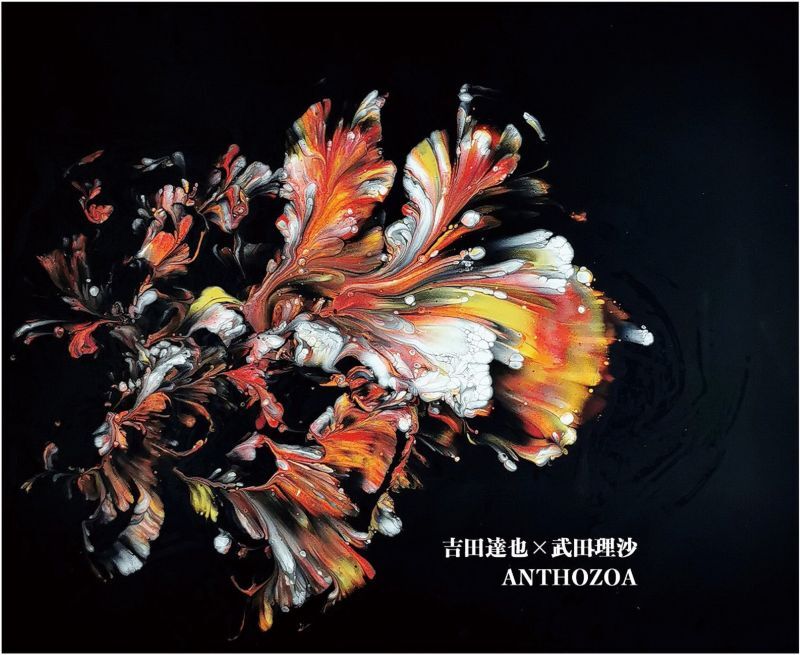 画像1: 吉田達也 X 武田理沙 / ANTHOZOA (cassette+DL) (1)